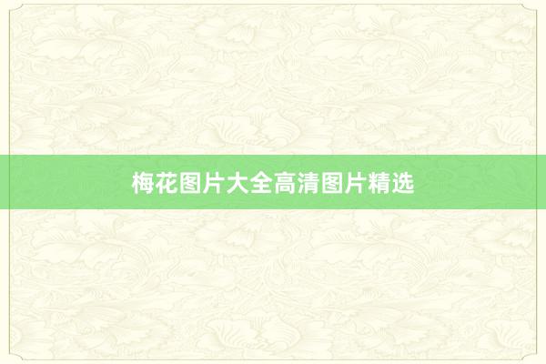 梅花图片大全高清图片精选