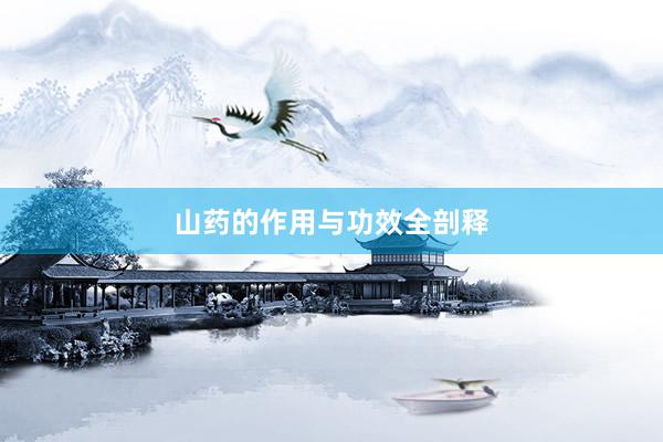 山药的作用与功效全剖释