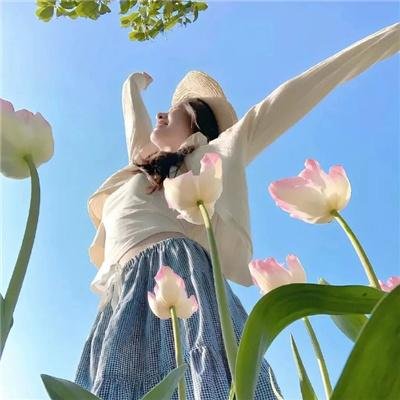 妖精森林的小不点